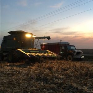 Meet your Posher, Avery